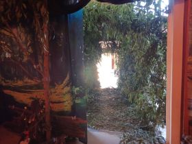 557129869_1388577196603416_8713214217630298414_n