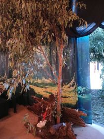 557799239_1388576766603459_5596930636961687668_n