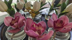 557395987_1390728533054949_5592050389918957566_n