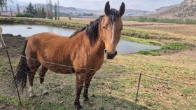 797746024_1698019585659174_5715715438587437032_n