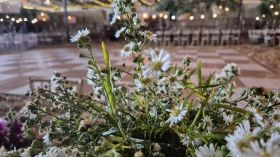 648228078_1530417952419339_2681513804575984687_n