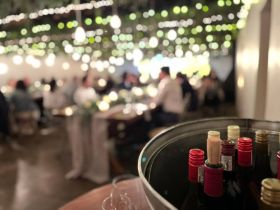 495926976_1262180012576469_2946557149058949071_n