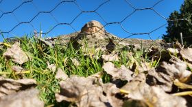 496447569_1262182125909591_5723649730054782690_n