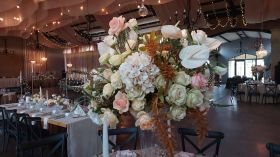 652822425_1537414221719712_3576029226282153893_n