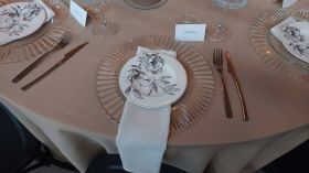 654301187_1537414375053030_4569871215337401075_n