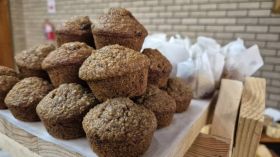 581926873_1430284899099312_2566110063350321932_n