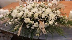 565642098_1405611051566697_7456629377623653643_n