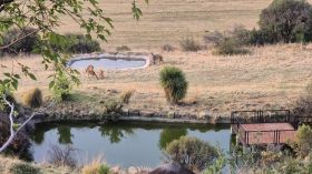 550668583_1377256074402195_2433896839683313243_n