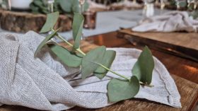 640036811_1517129090414892_6394233620019799960_n