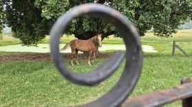 641456221_1517126263748508_4383553850448239964_n