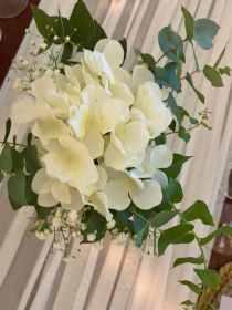 655459681_1542251517902649_305562440791334091_n