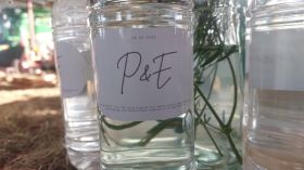 663244134_1549697117158089_9077408807859559652_n