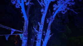 595126687_1451980350263100_3729339852574540447_n