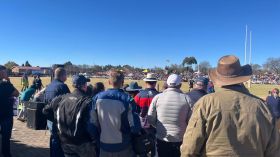 502484727_1279316840862786_4660247653223104742_n